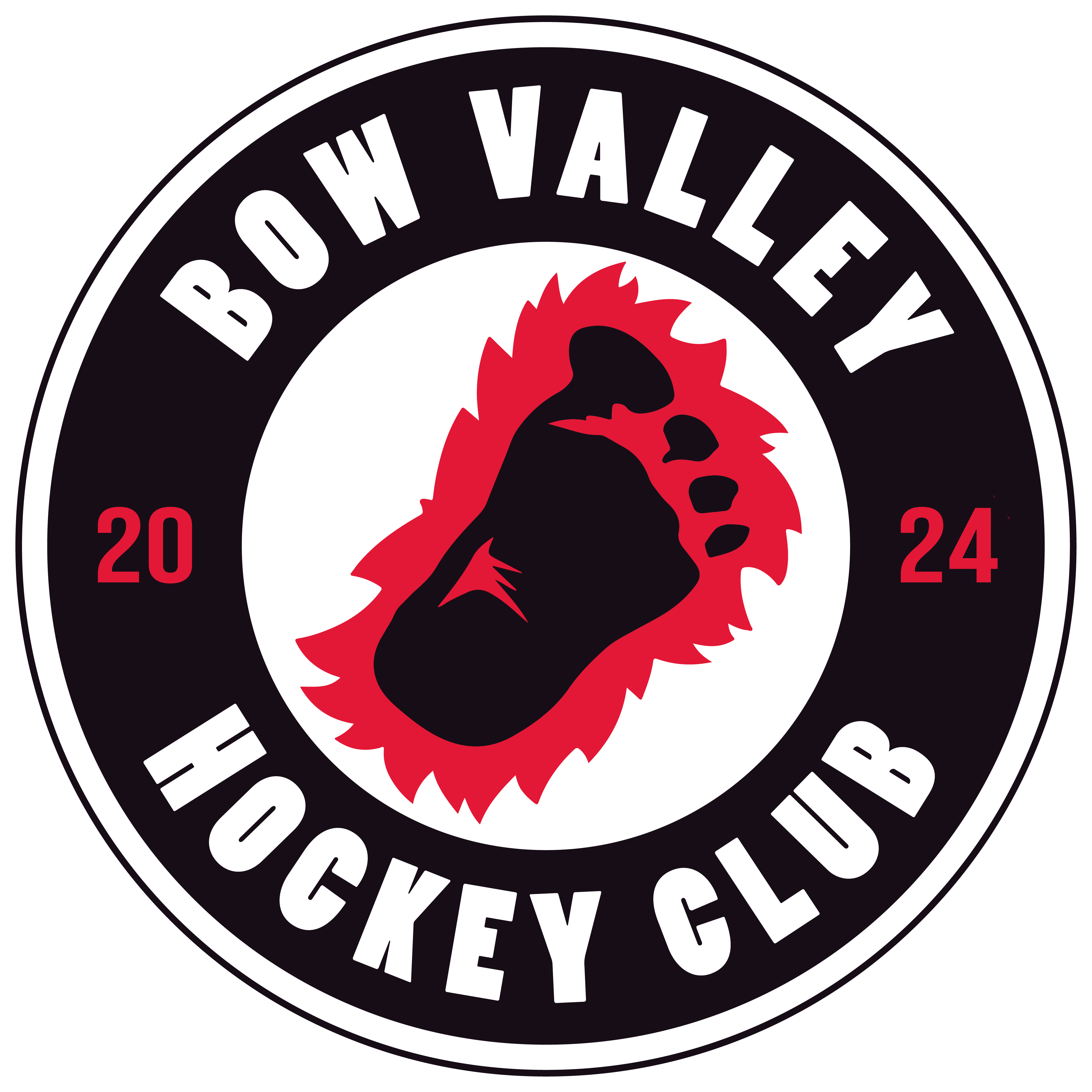 14U AAA - Bow Valley HC